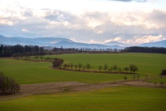 DSC01353